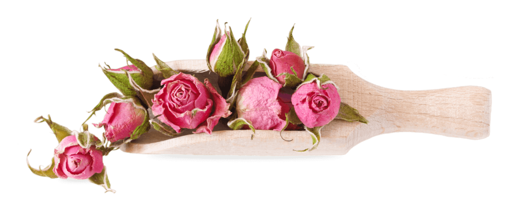 Tea Flowers